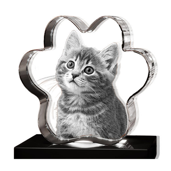 3D Crystal Paw - Image 3